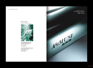 佛山品牌策划公司 从企业策划、形象设计到品牌设计的全案服务